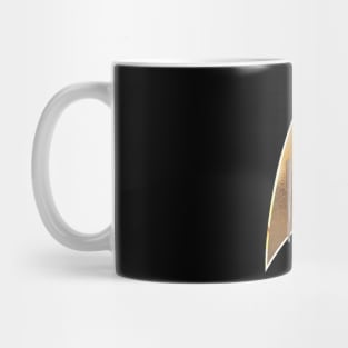 Star Trek Discovery Badge N Ship Mug